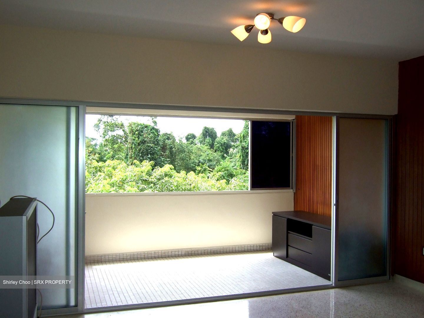 Lakeview Estate (D20), Apartment #582230841
